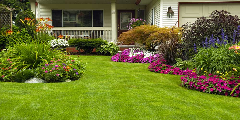 lawn care - Negócios lucrativos: 7 ideias de  baixo investimento para trabalhar em casa!